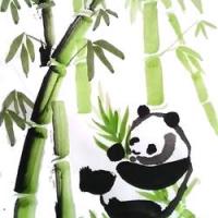 Panda stephanie petit 1