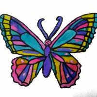 Papillon1 petit 1